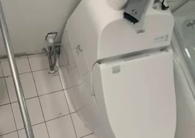 Professional Toilet Installation